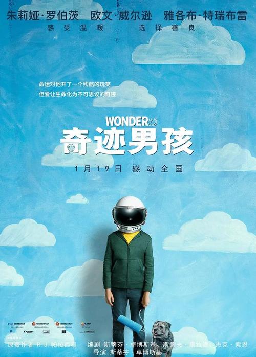 定制高仿验资报告